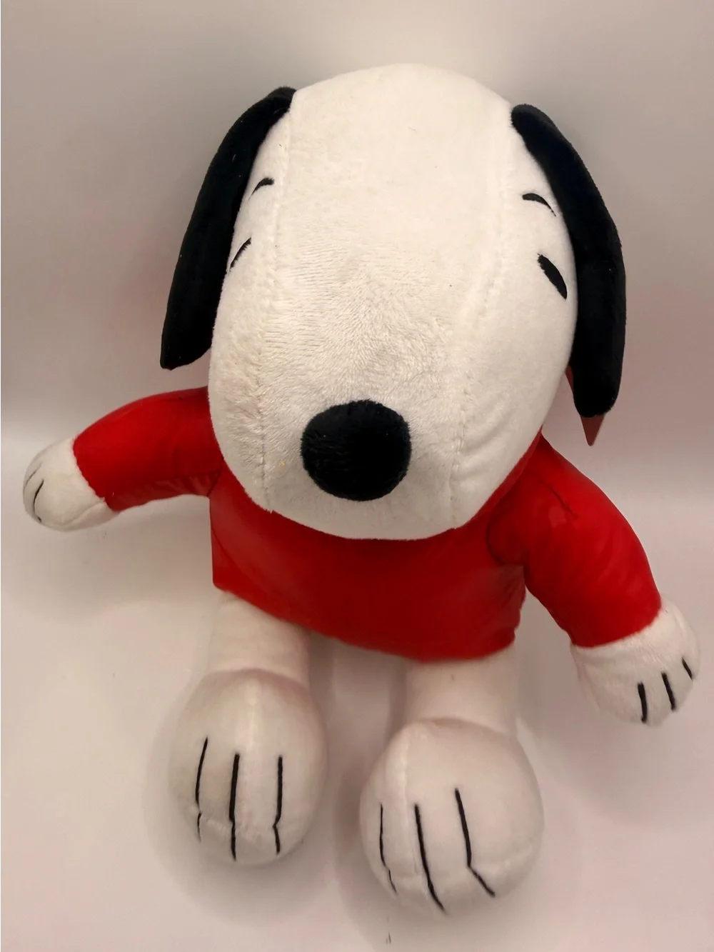Ruz snoopy 2025